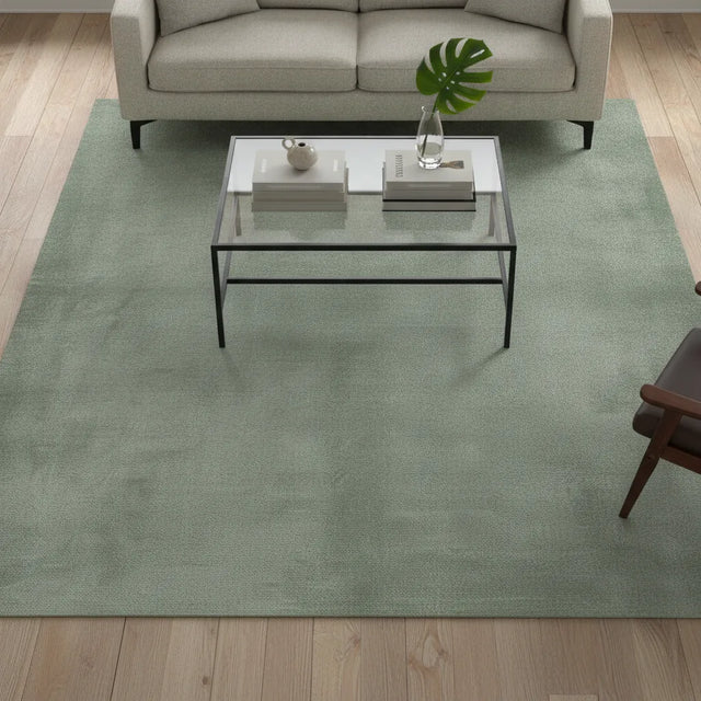 Tapis de salon uni minimaliste