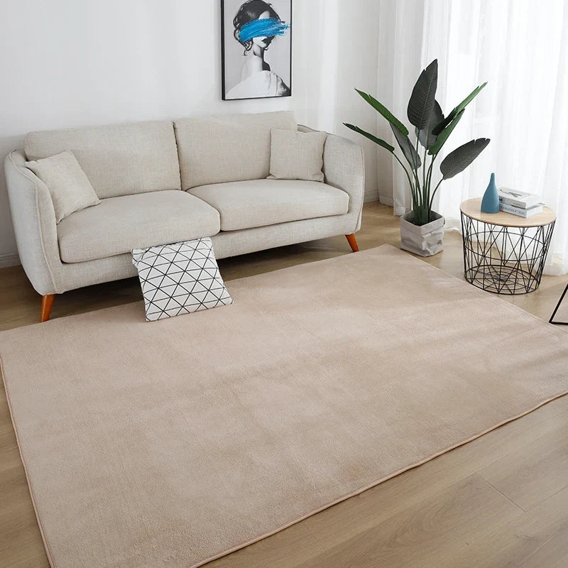 Tapis de salon uni gris poil ras