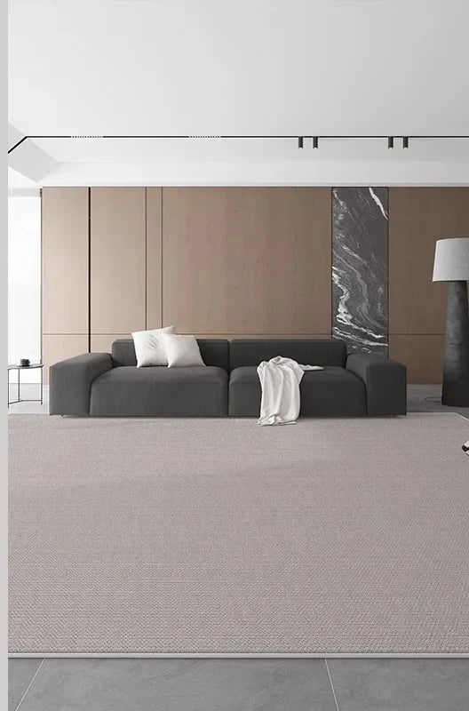 Tapis salon minimaliste lavable