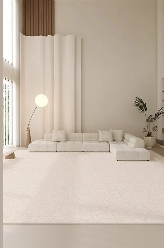 Tapis salon minimaliste lavable