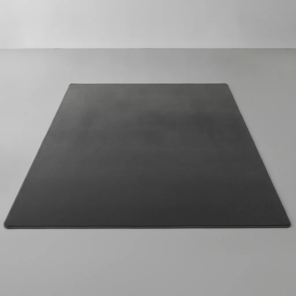Tapis de salon uni en flanelle douce