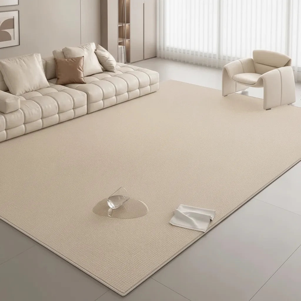 Tapis salon minimaliste lavable