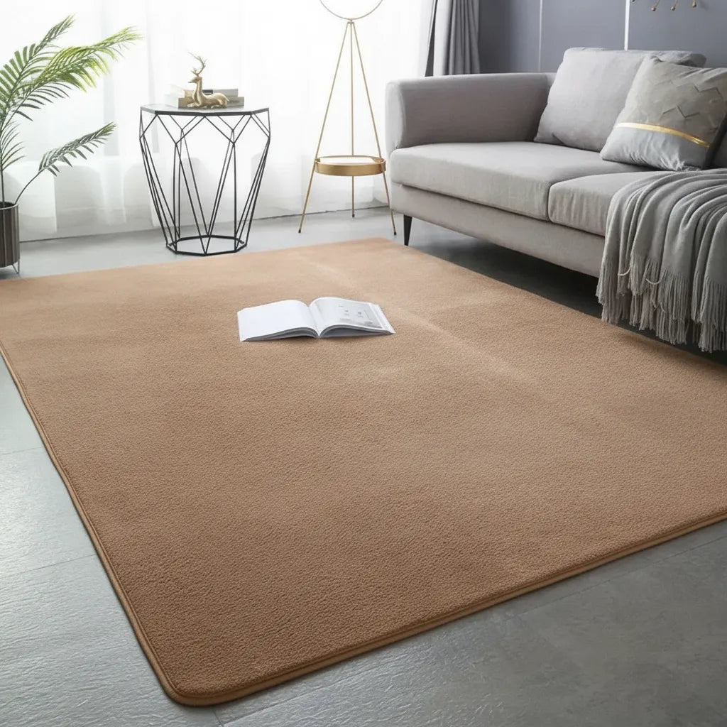 Tapis de salon uni en flanelle douce
