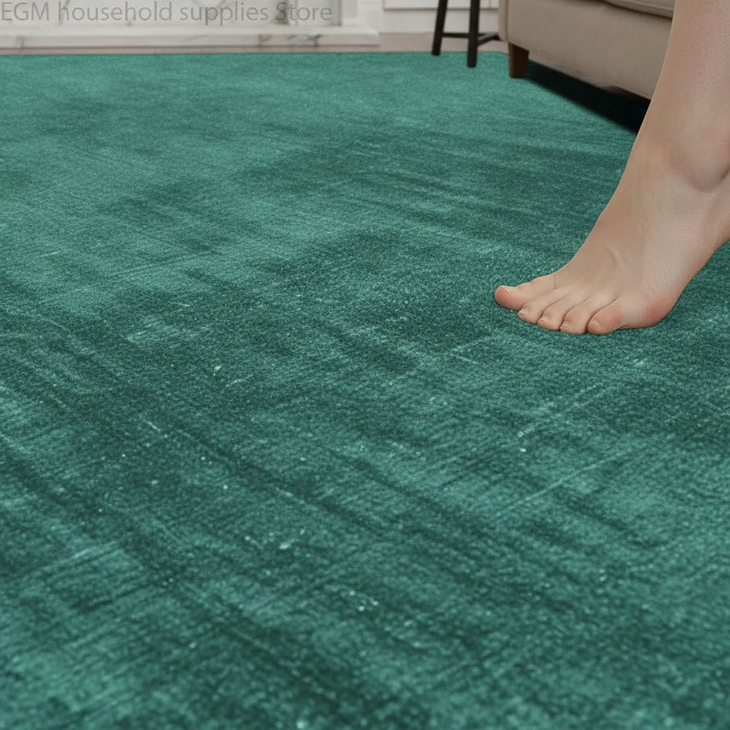 Tapis salon uni doux et lavable